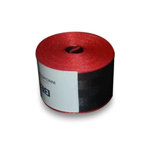 Colored Seat Belts - Image 17