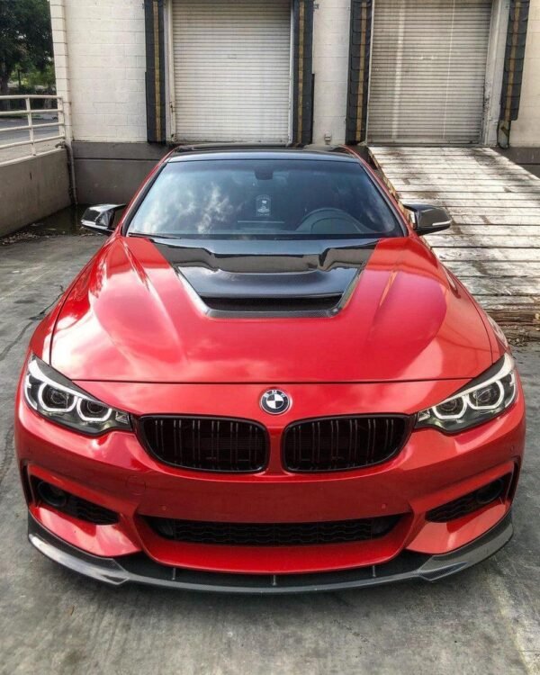 Dual Slat Front Grilles - BMW F32/F33/F36 4 Series - Image 2