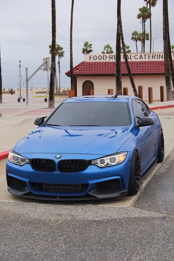 Dual Slat Front Grilles - BMW F32/F33/F36 4 Series - Image 3