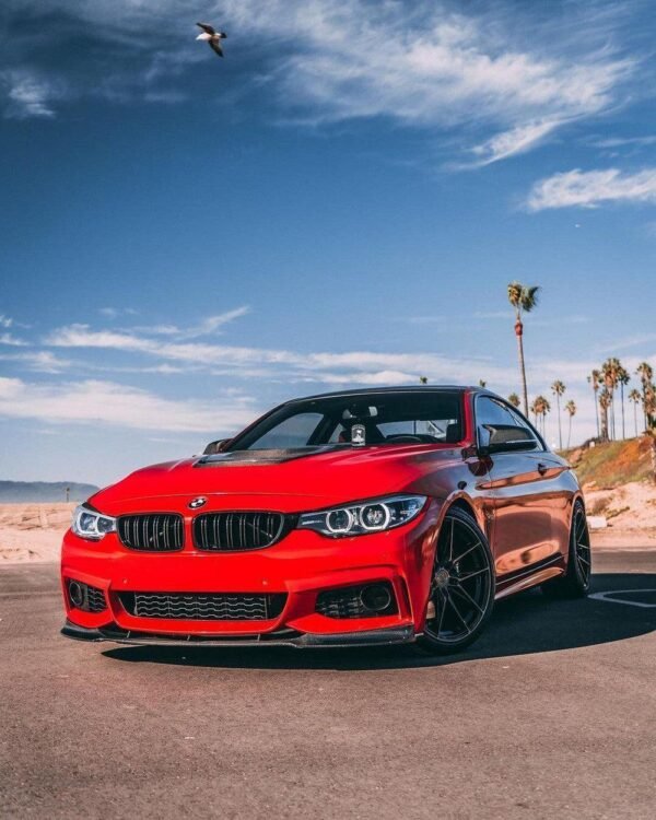 Dual Slat Front Grilles - BMW F32/F33/F36 4 Series