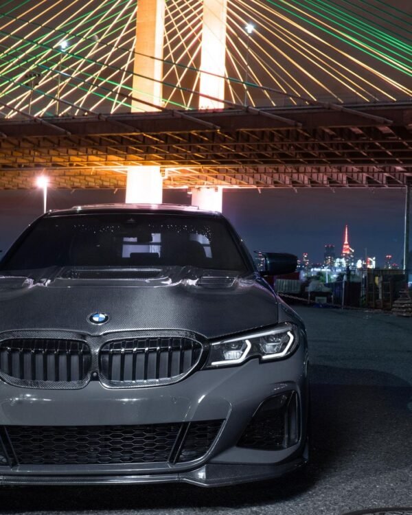 Dual Slat Front Grilles - BMW G20 3 Series - Image 2