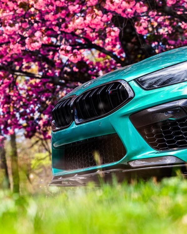 Dual Slat Front Grilles - BMW M8 & 8 Series - Image 2